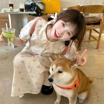 完美普通家庭